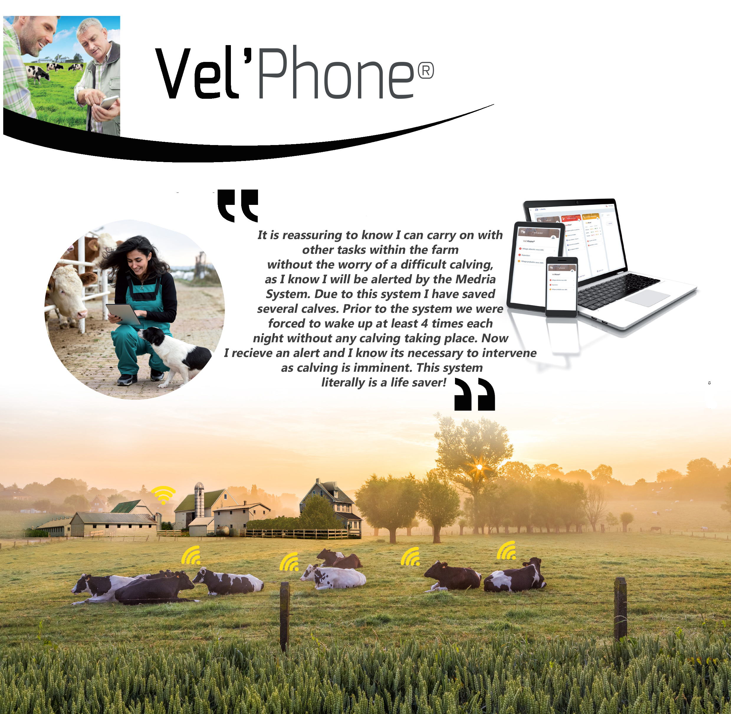 Velphone web page 2